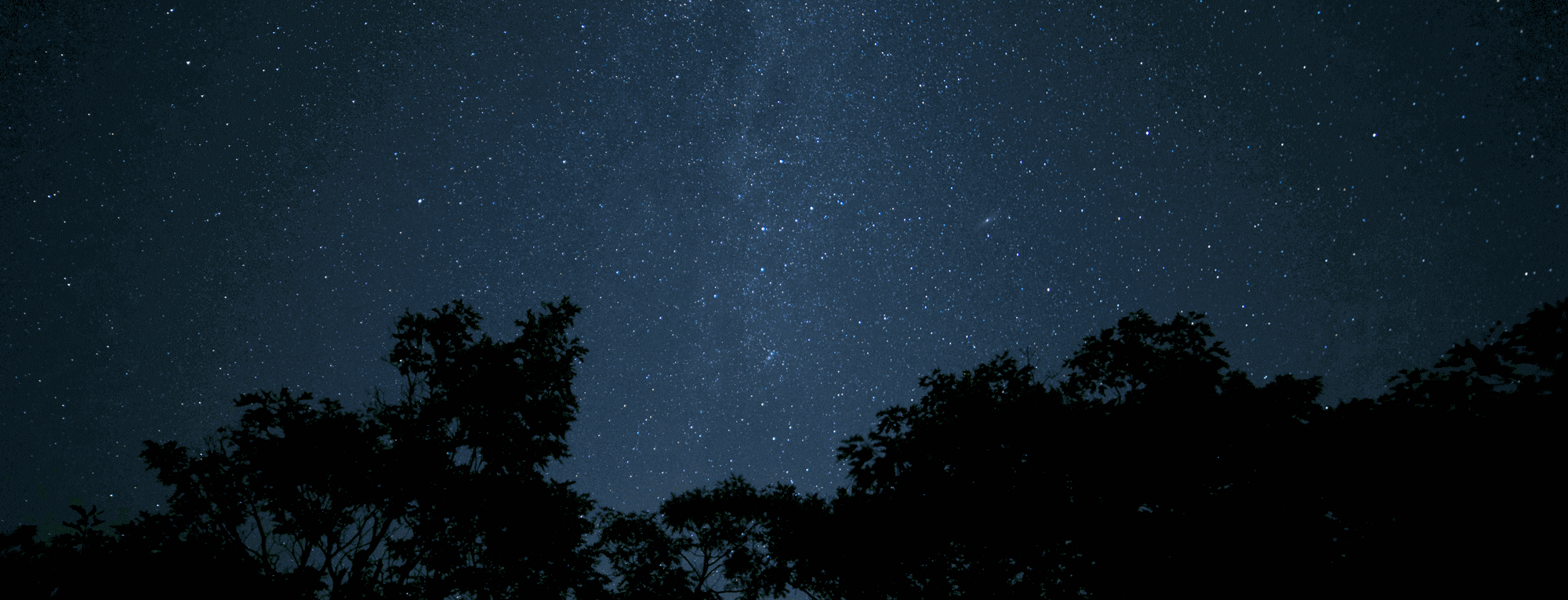 TestApptSyst